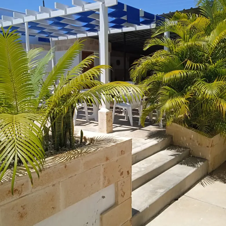 Casa Diana y Aliosha — imagen 4