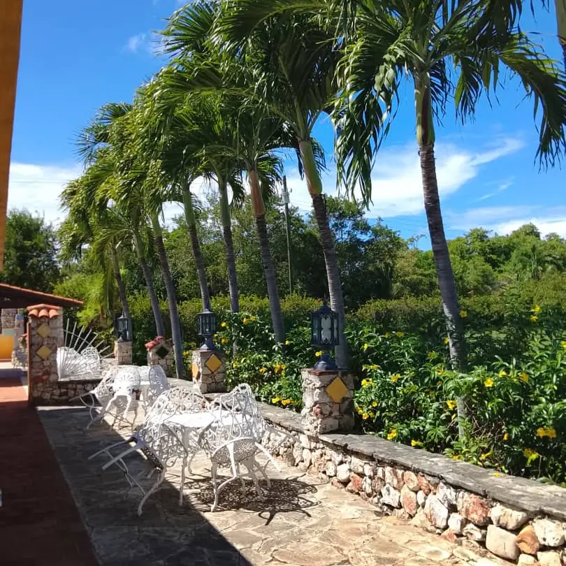 Villa Brisas's photo #4