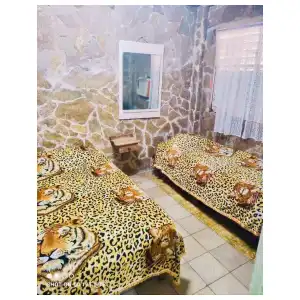 Casa Sonia miniatura 8