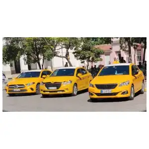 Trasporte privado miniatura 5